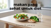 review-jujur-5-pola-makan-diet